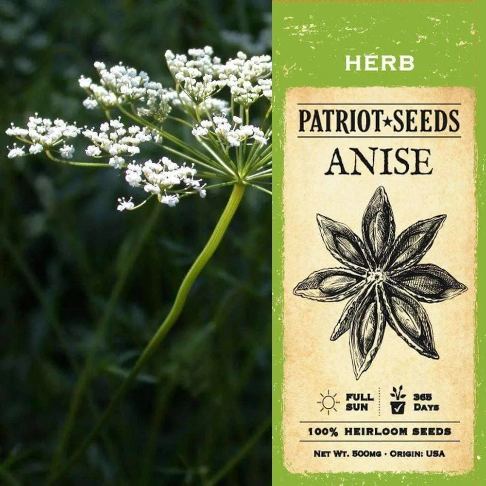 Anise Herb Seeds (500mg)