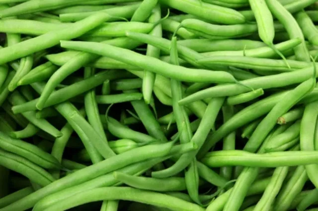 Bean - Kentucky Wonder (Green Pole Bean)