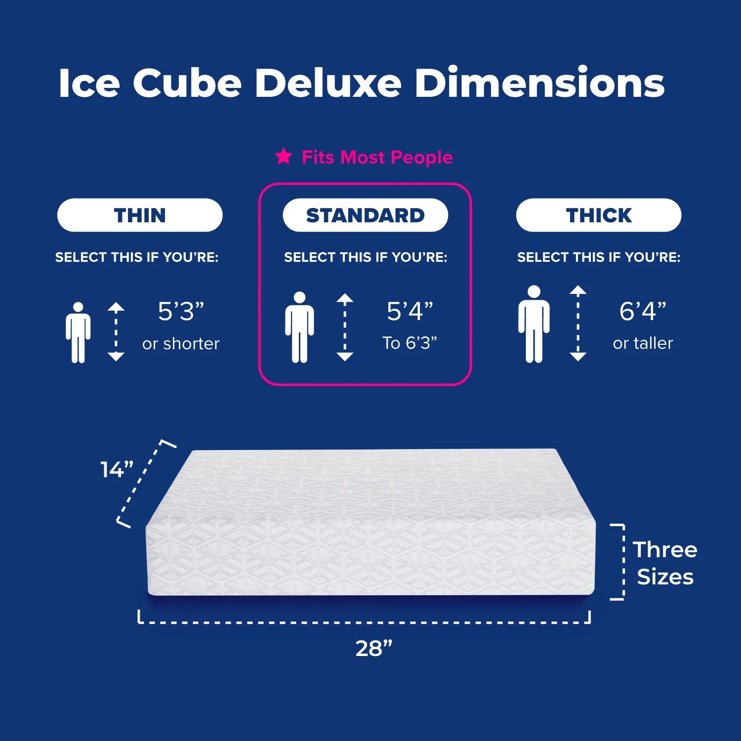 Ice Cube Deluxe