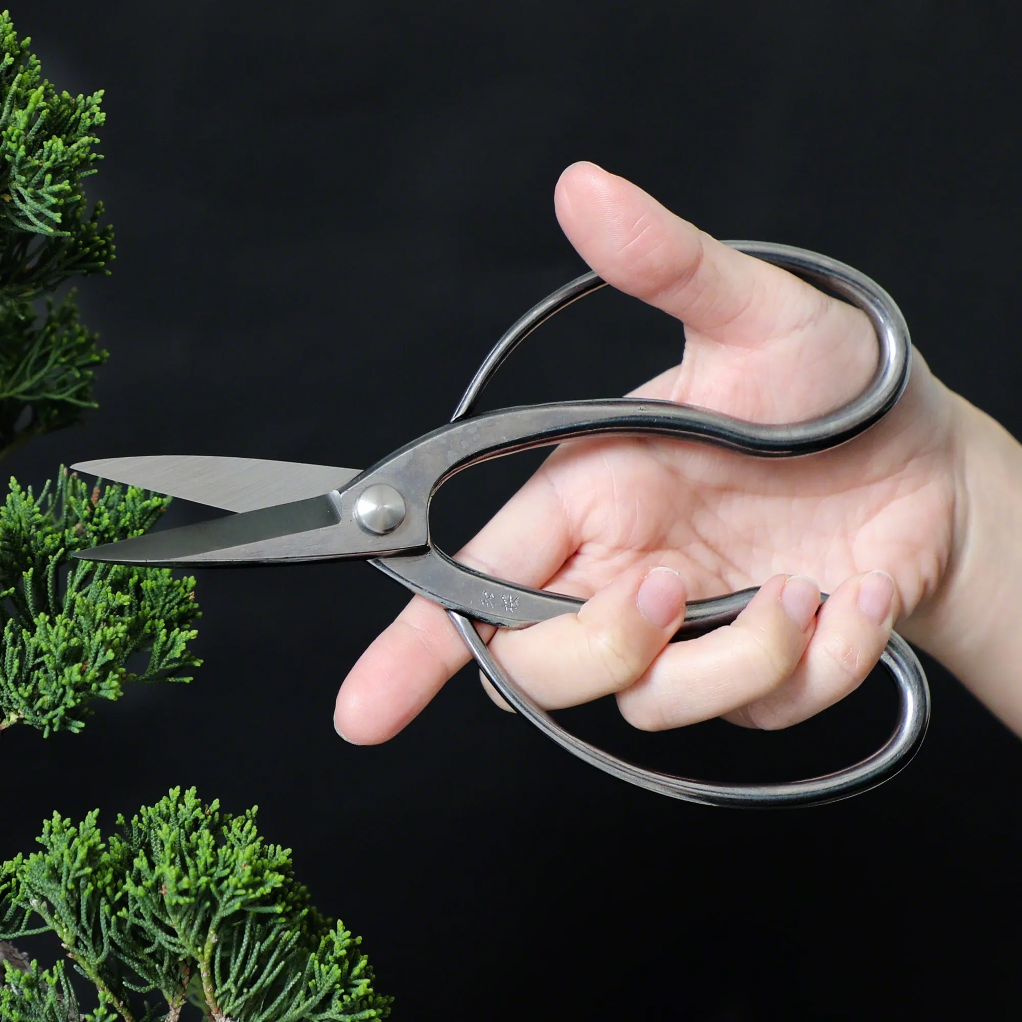 Traditional Bonsai Scissors 7(180mm) Stainless Steel